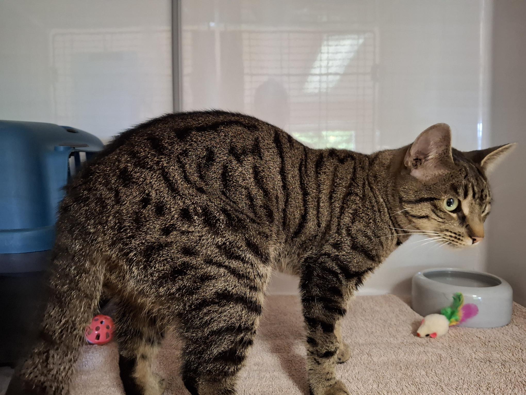 Andrea_20250921_145857.jpg Andrea_20250921_145857.jpg