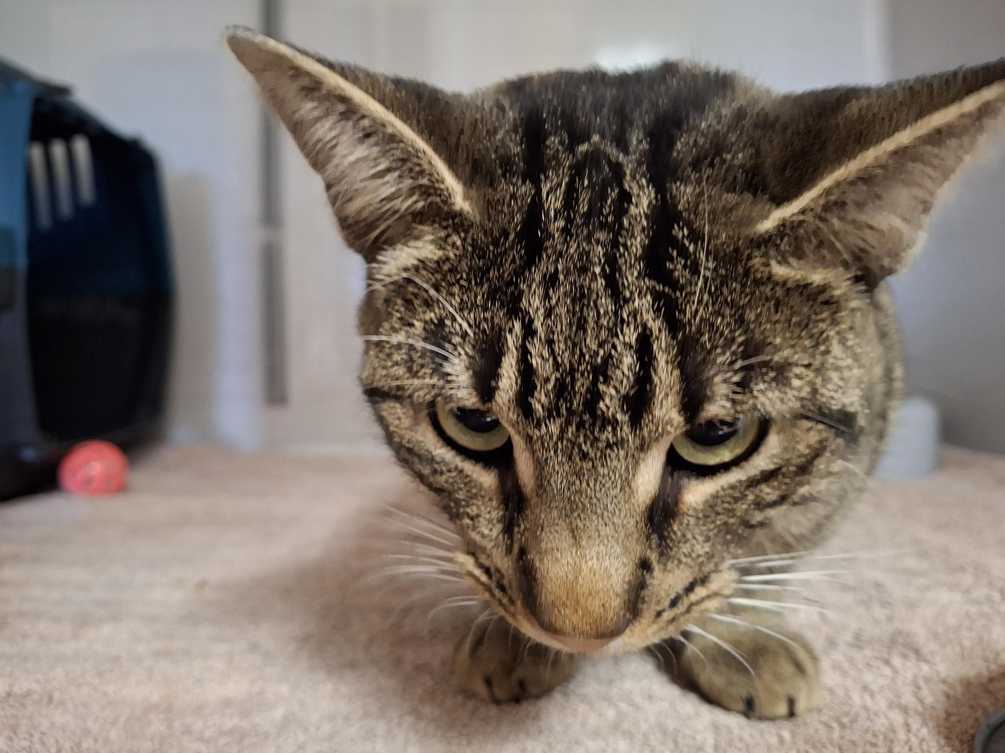 Andrea_20250921_150019.jpg Andrea_20250921_150019.jpg