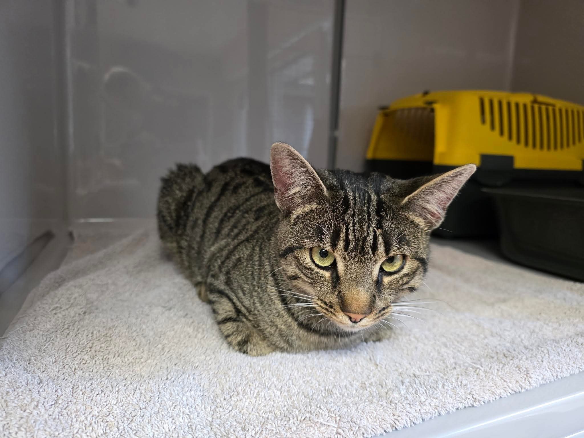 Andrea_FB_IMG_1757919622205.jpg Andrea_FB_IMG_1757919622205.jpg