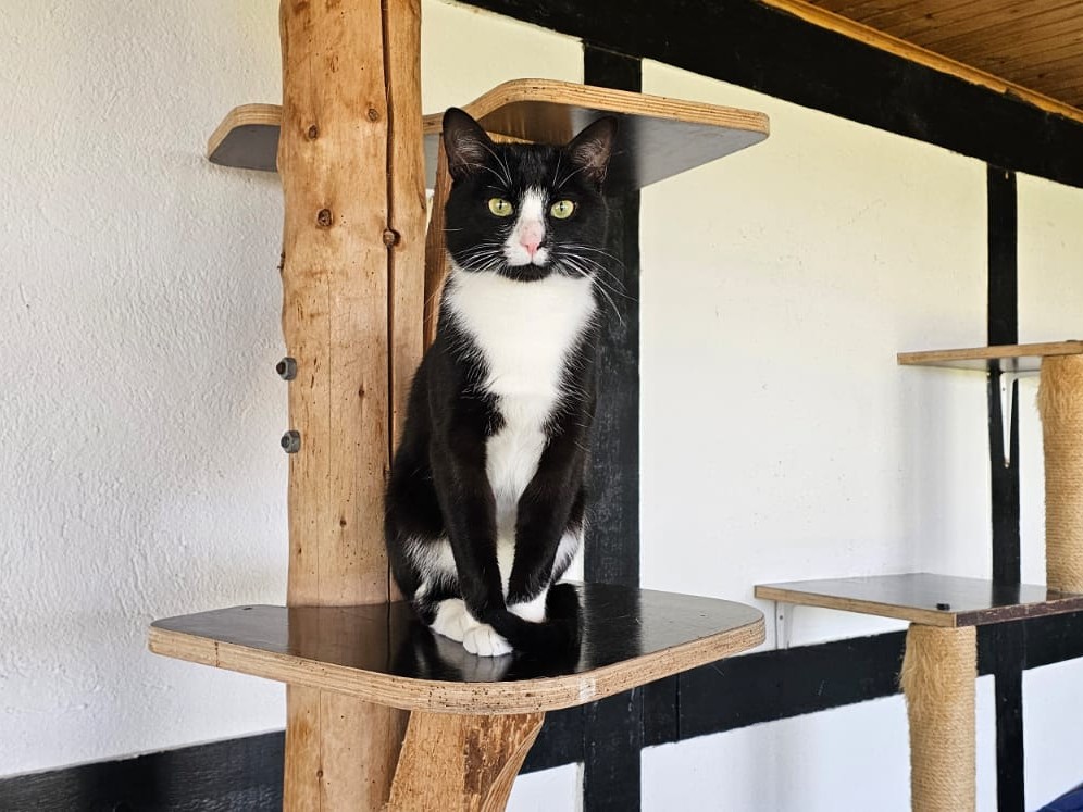 Floh_IMG-20251001-WA0034.jpg Floh_IMG-20251001-WA0034.jpg