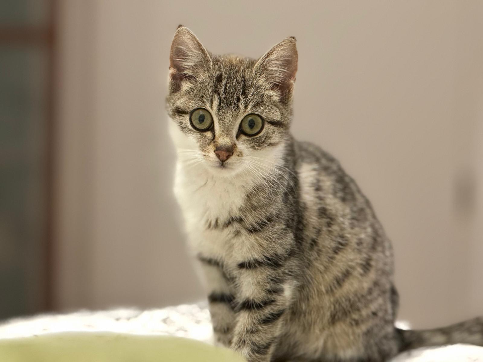 PHOTO-2025-10-27-11-00-13.jpg PHOTO-2025-10-27-11-00-13.jpg