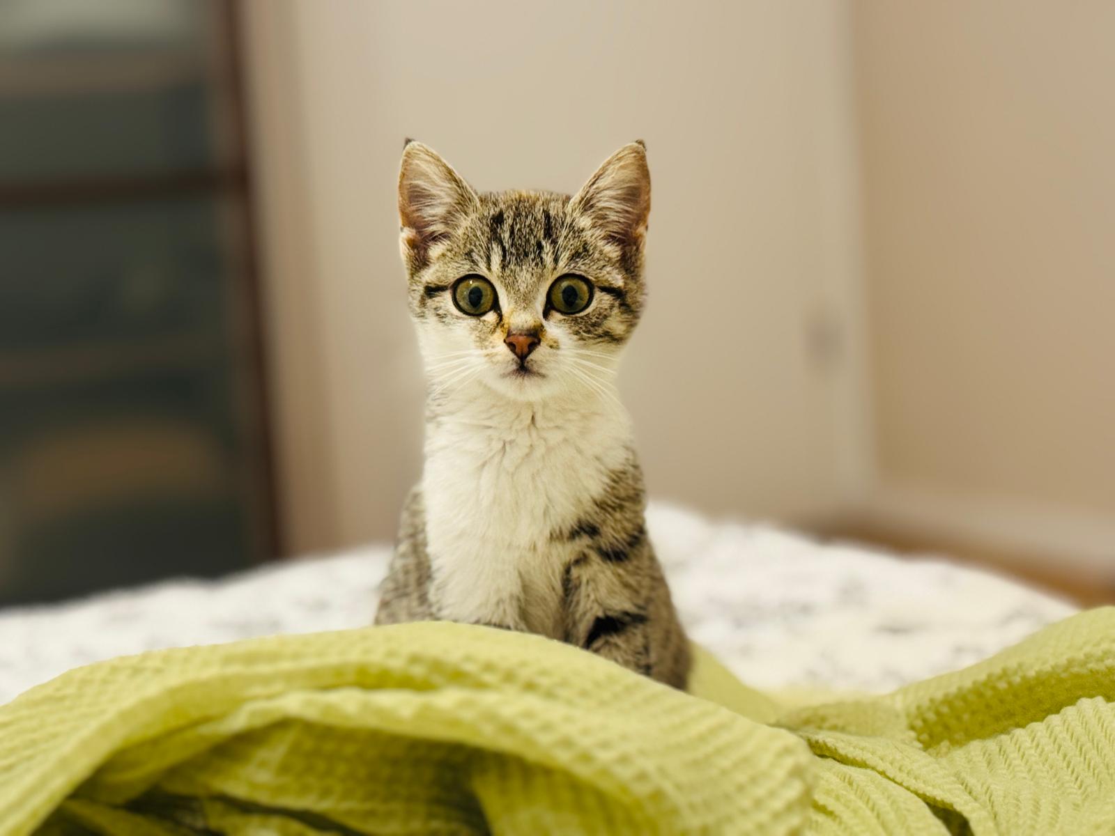 PHOTO-2025-10-27-11-00-15.jpg1.jpg PHOTO-2025-10-27-11-00-15.jpg1.jpg