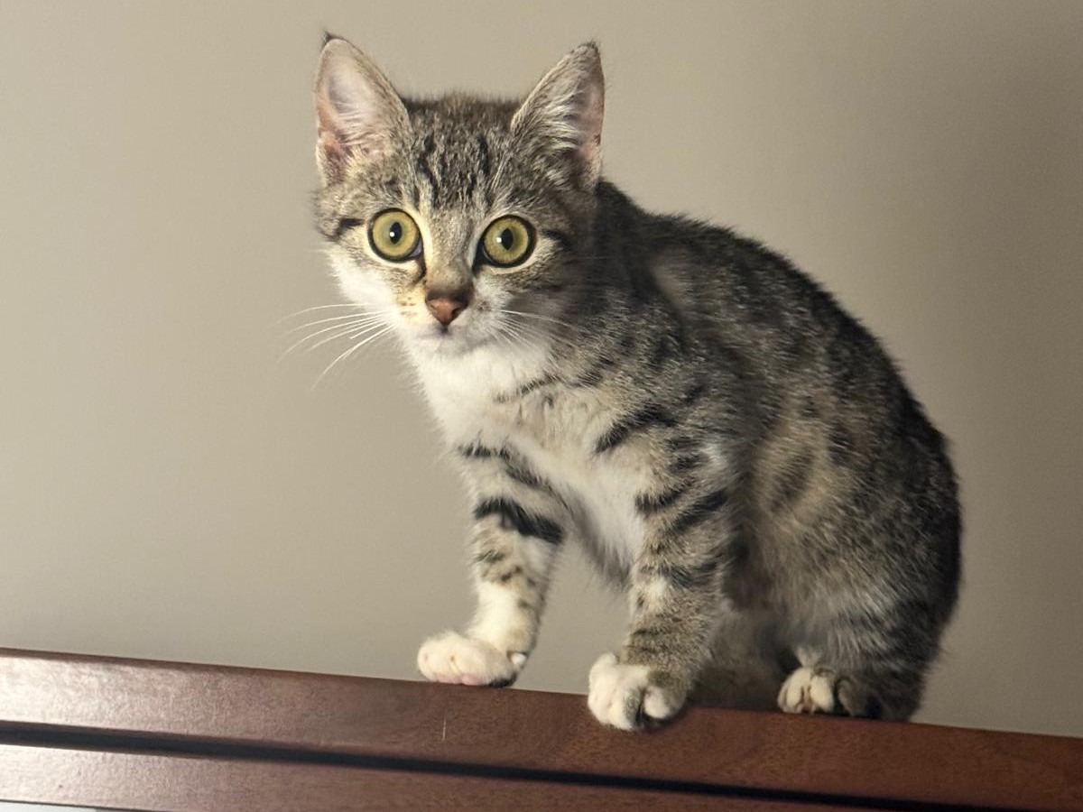 Unbenannt.jpg Unbenannt.jpg