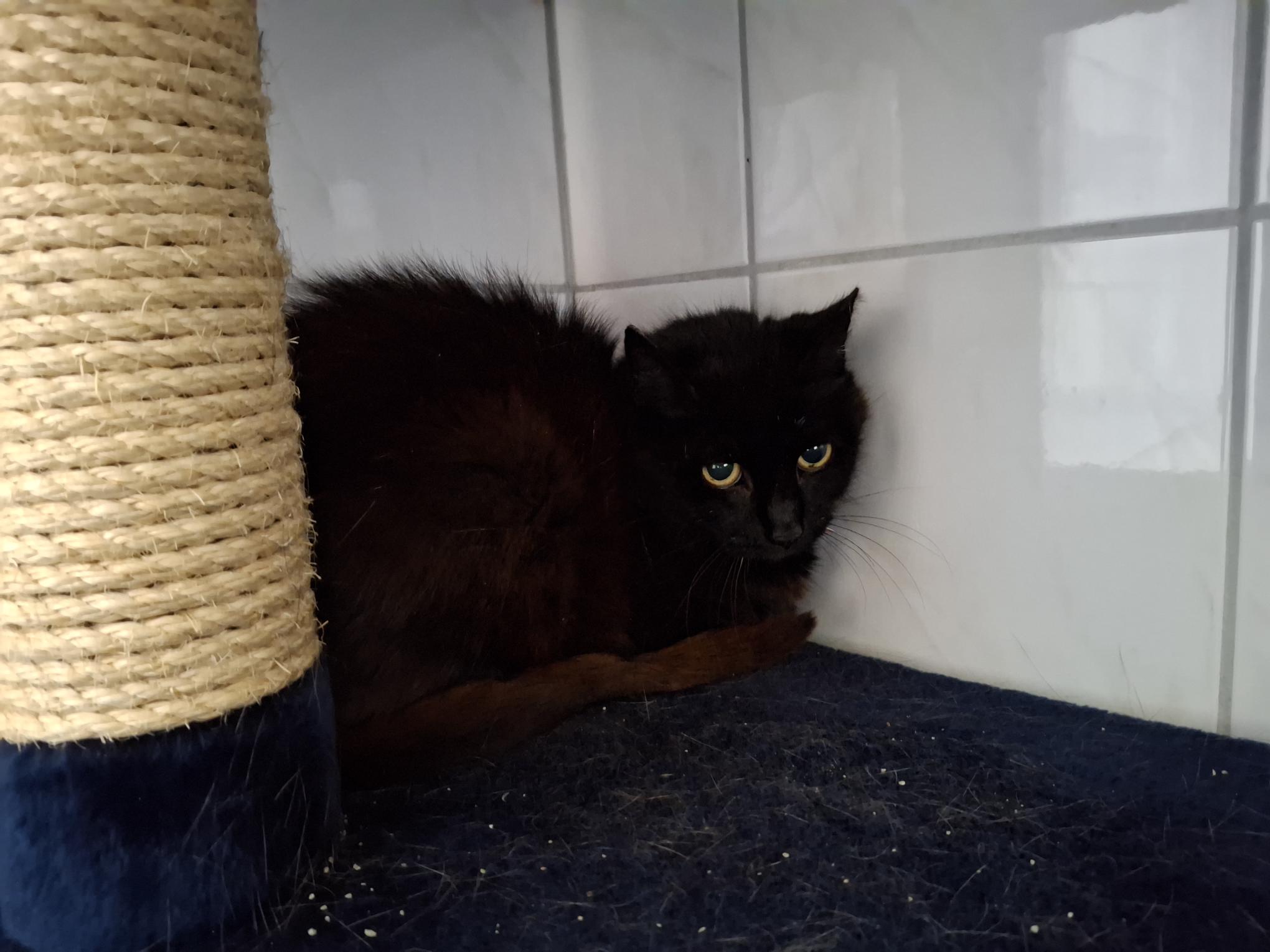 Jette_20251005_141753.jpg Jette_20251005_141753.jpg