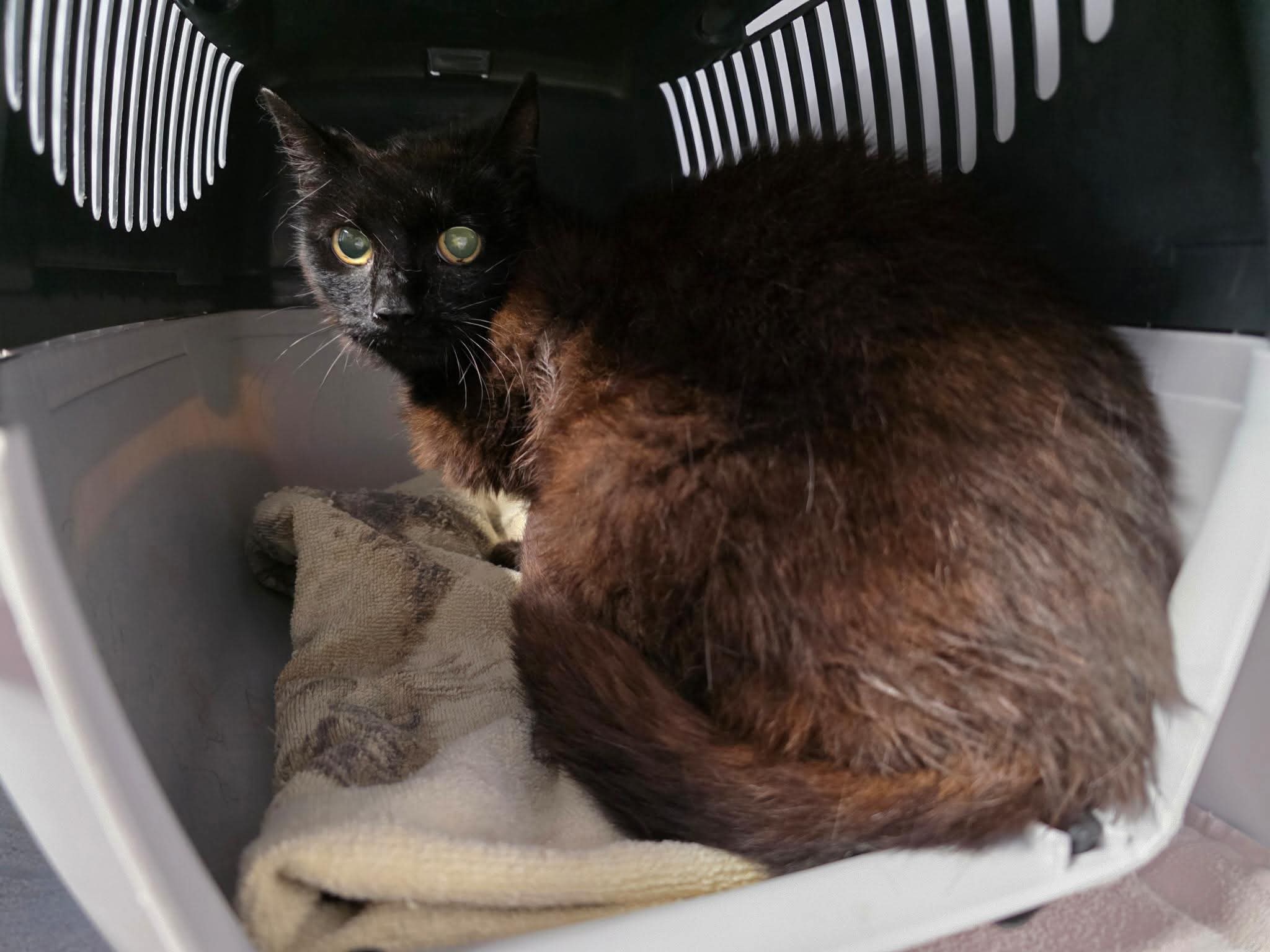 Jette_FB_IMG_1757919632180.jpg Jette_FB_IMG_1757919632180.jpg