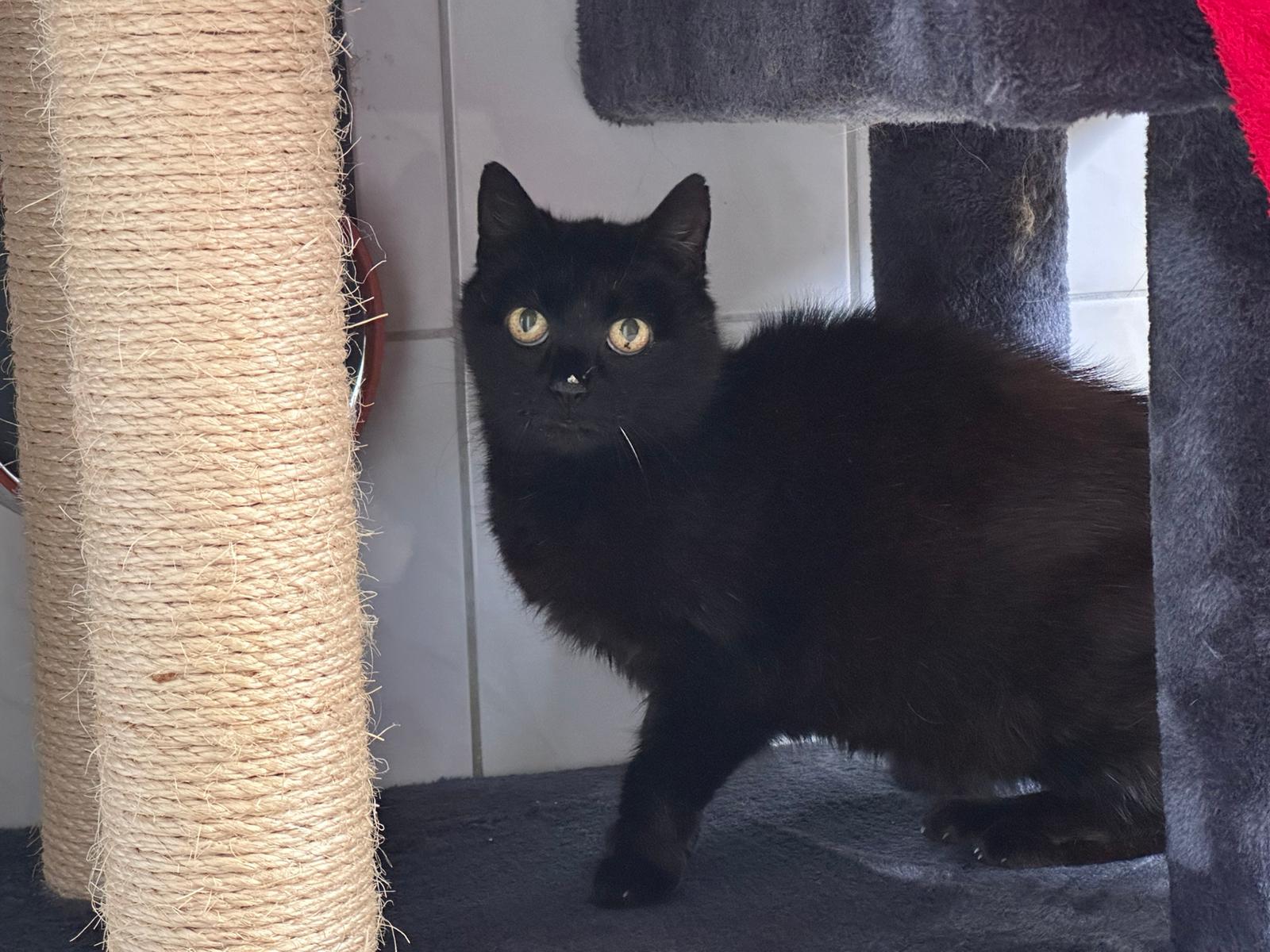 Jette_IMG-20251018-WA0007.jpg Jette_IMG-20251018-WA0007.jpg