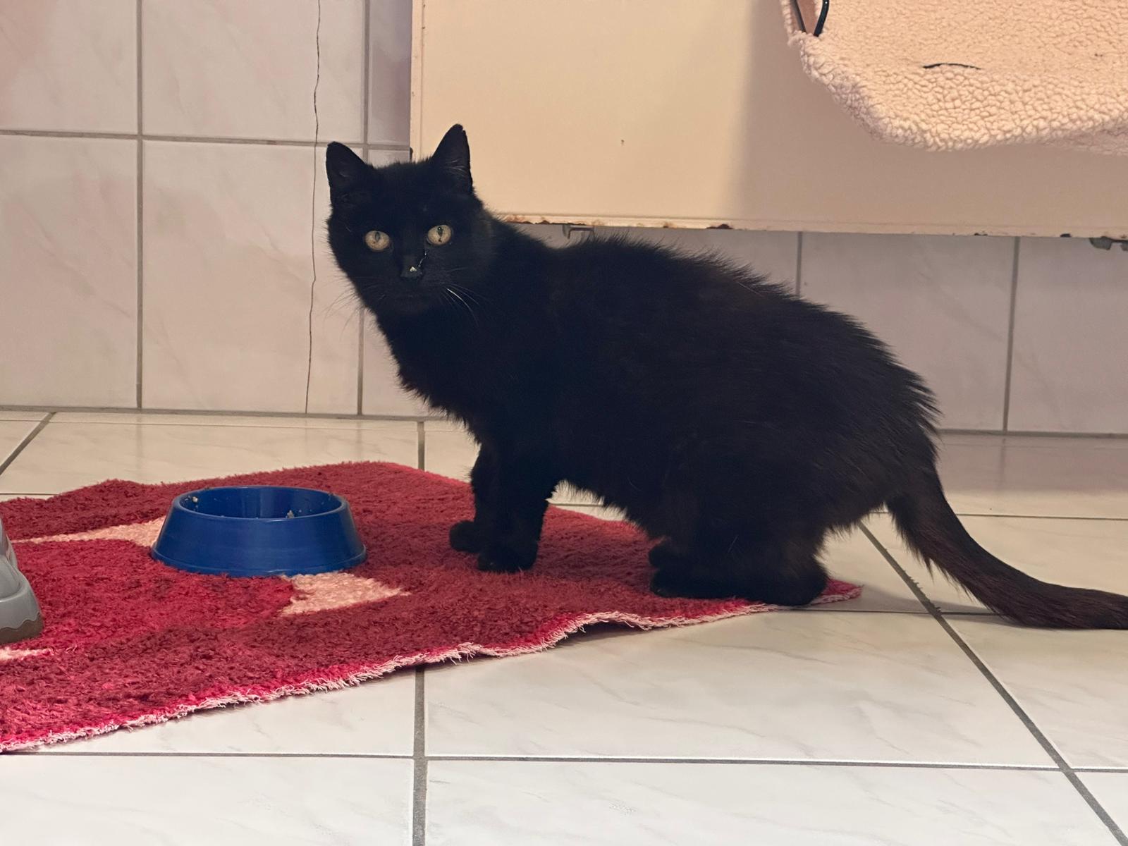 Jette_IMG-20251018-WA0008.jpg Jette_IMG-20251018-WA0008.jpg