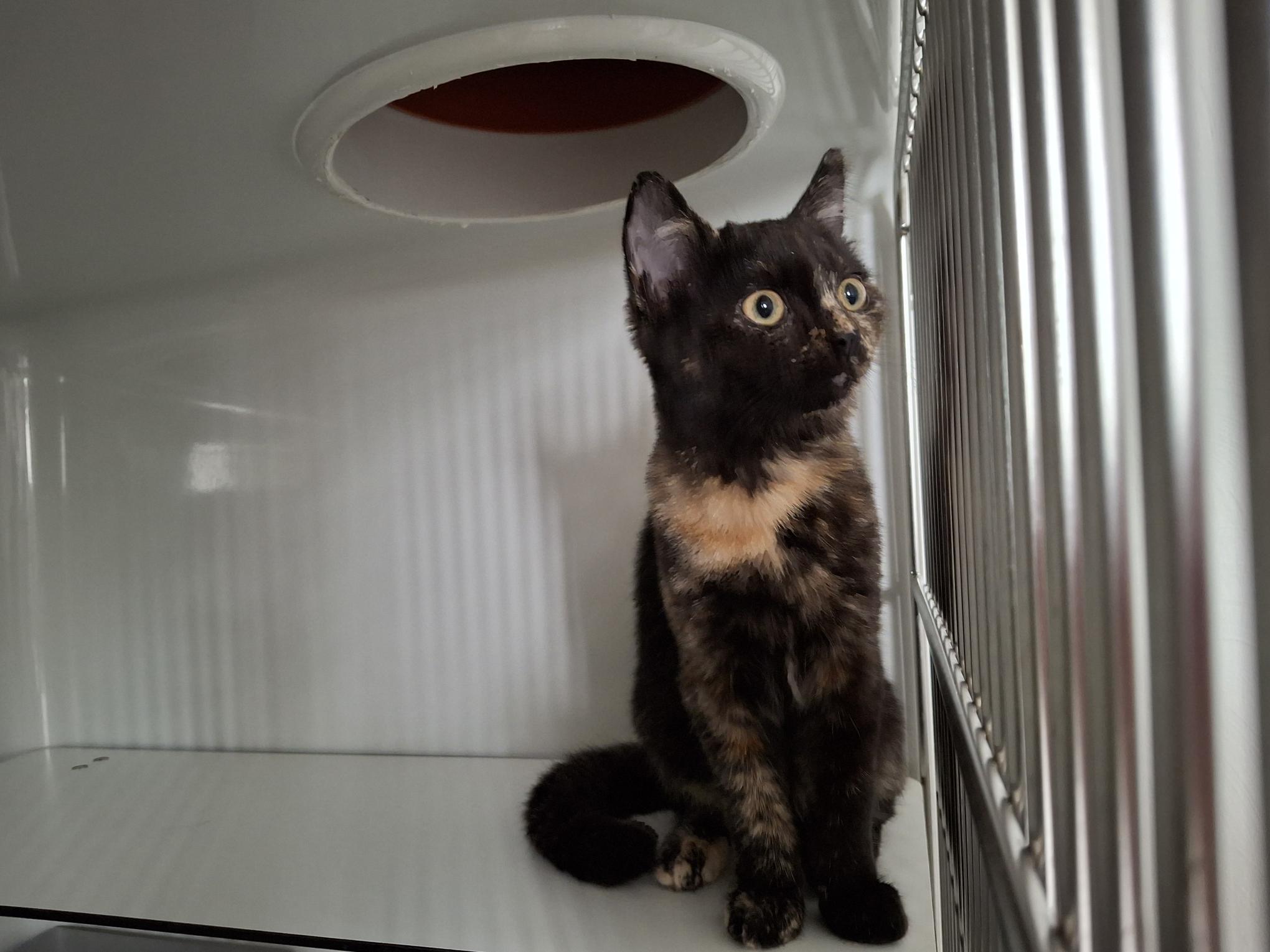 Maxi_20250921_153049.jpg Maxi_20250921_153049.jpg