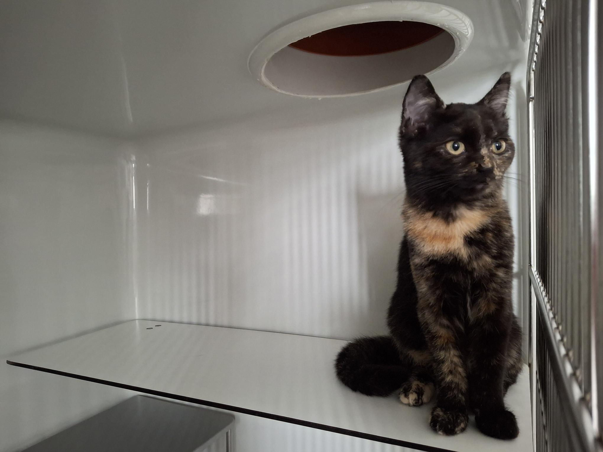 Maxi_20250921_153056.jpg Maxi_20250921_153056.jpg