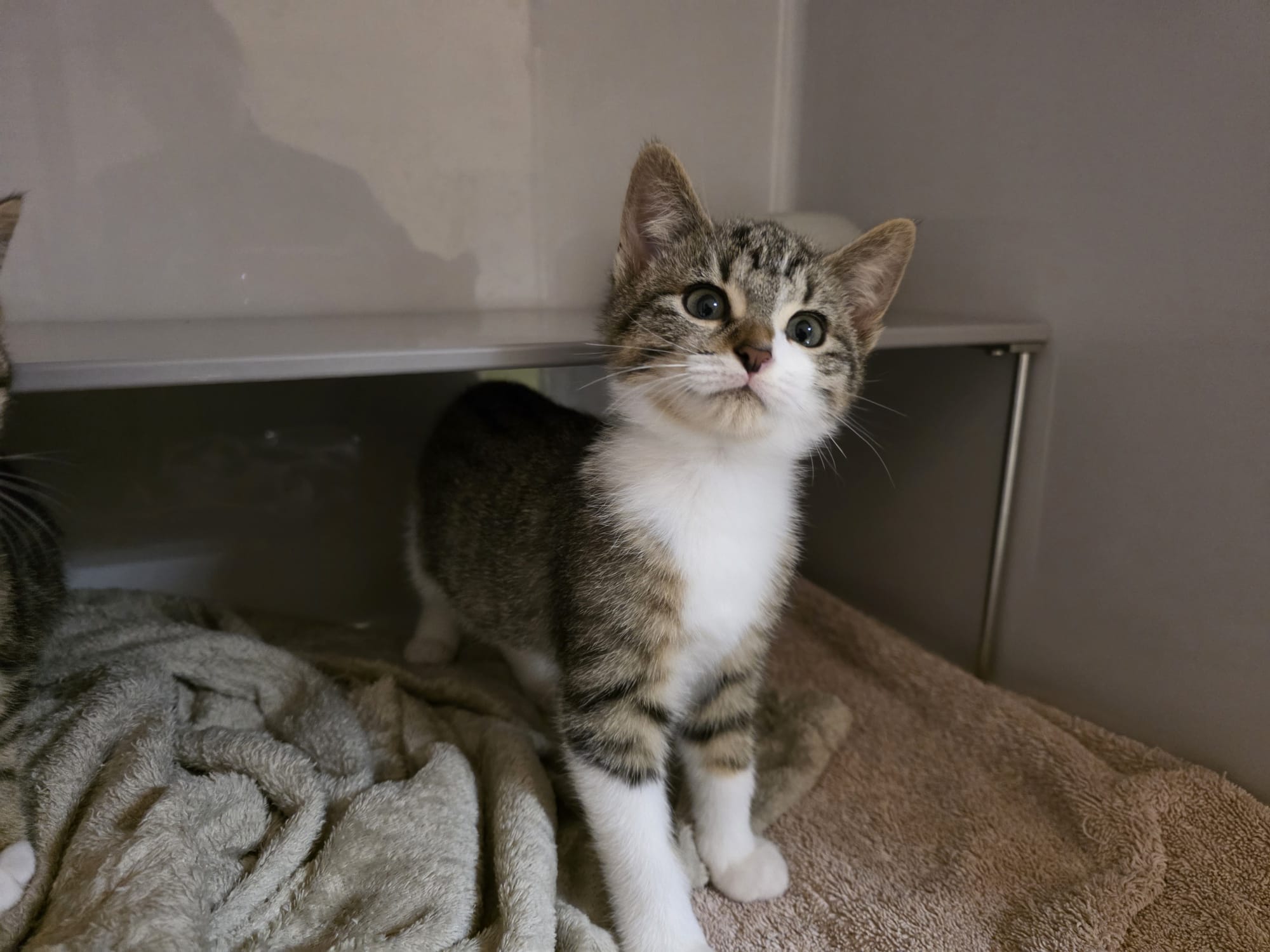 Marty.jpeg Marty.jpeg