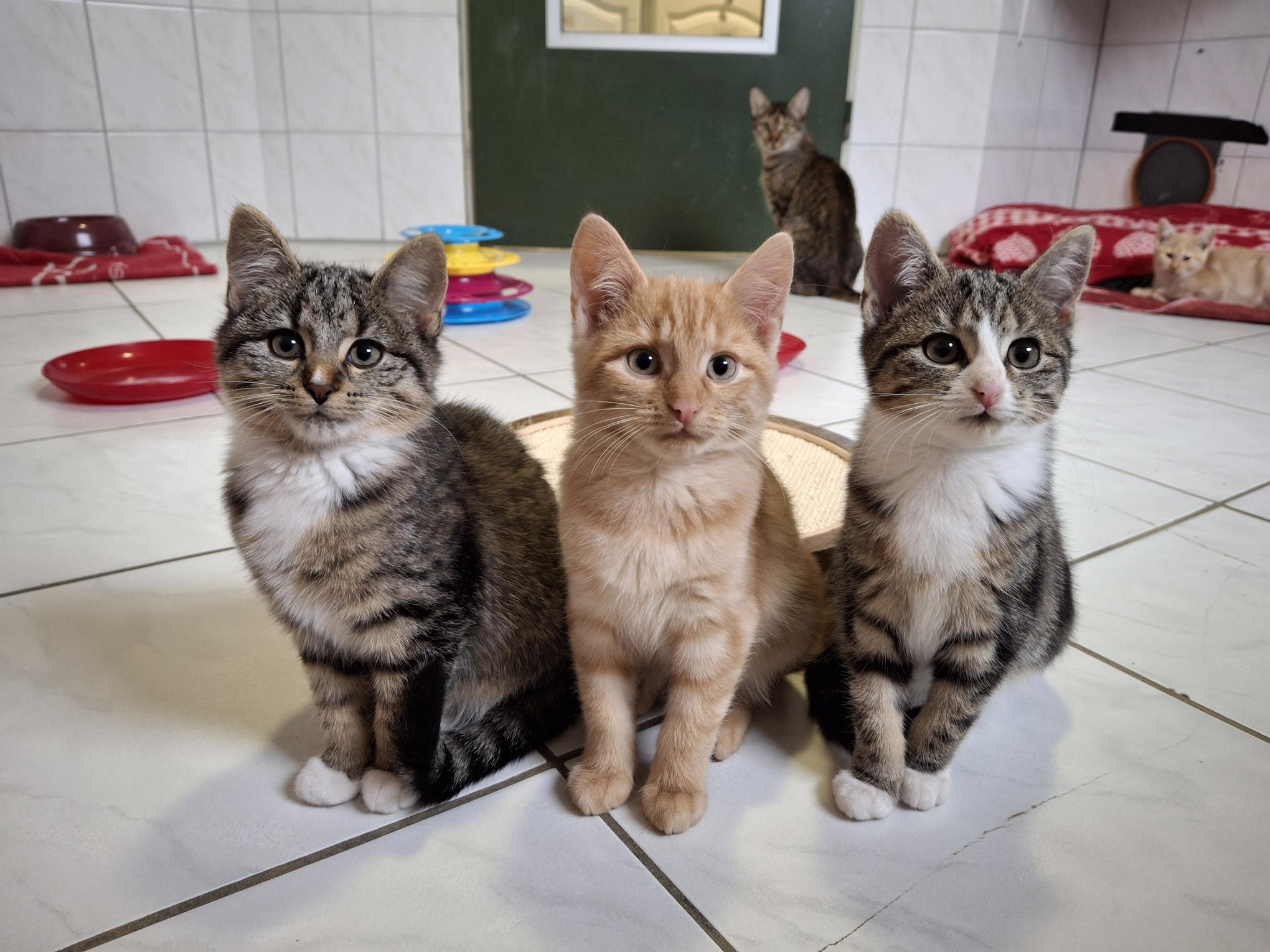 Buddy_Marie_Milli_20251026_135133.jpg Buddy_Marie_Milli_20251026_135133.jpg