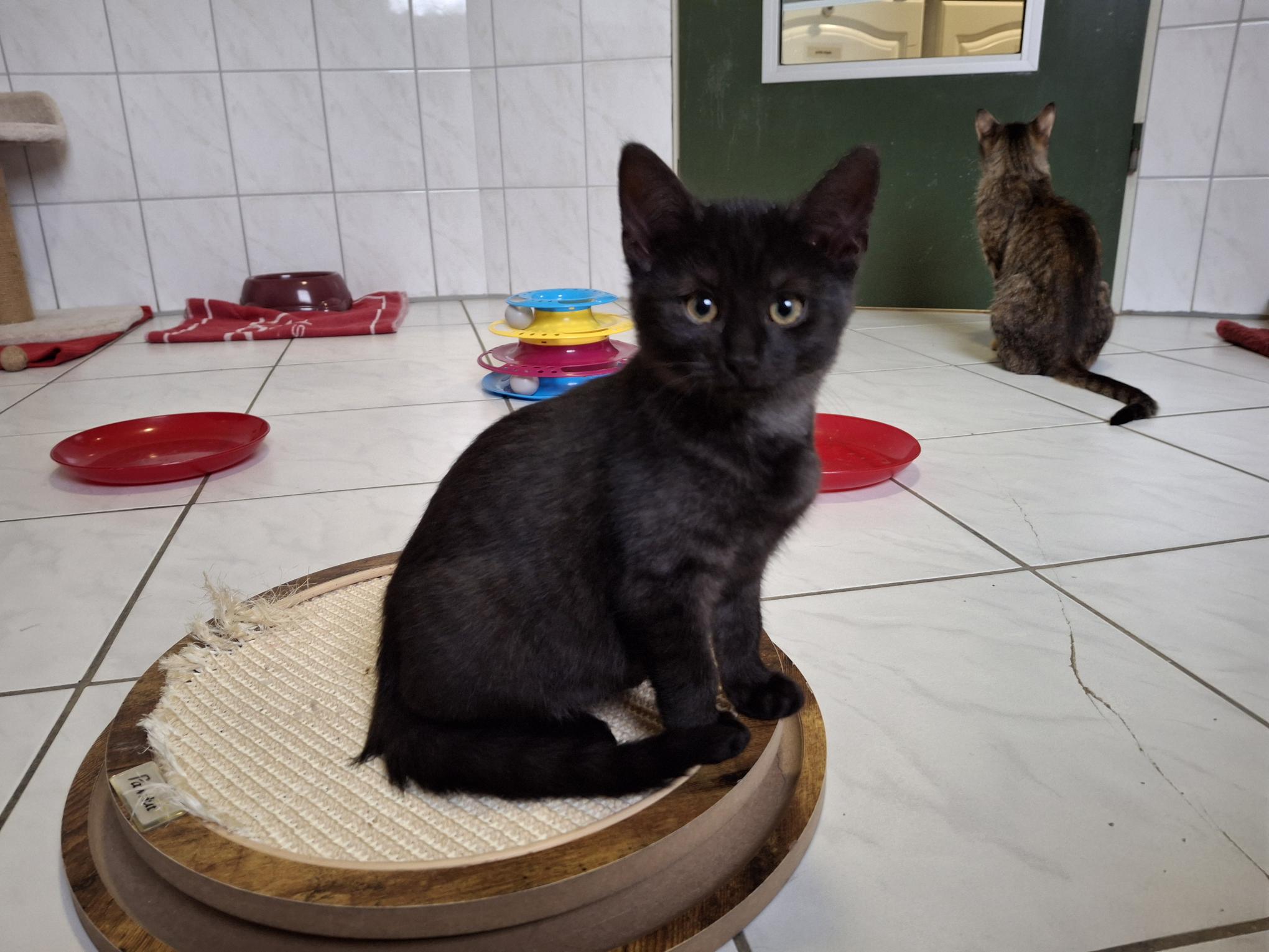 Eddy_20251026_135338.jpg Eddy_20251026_135338.jpg