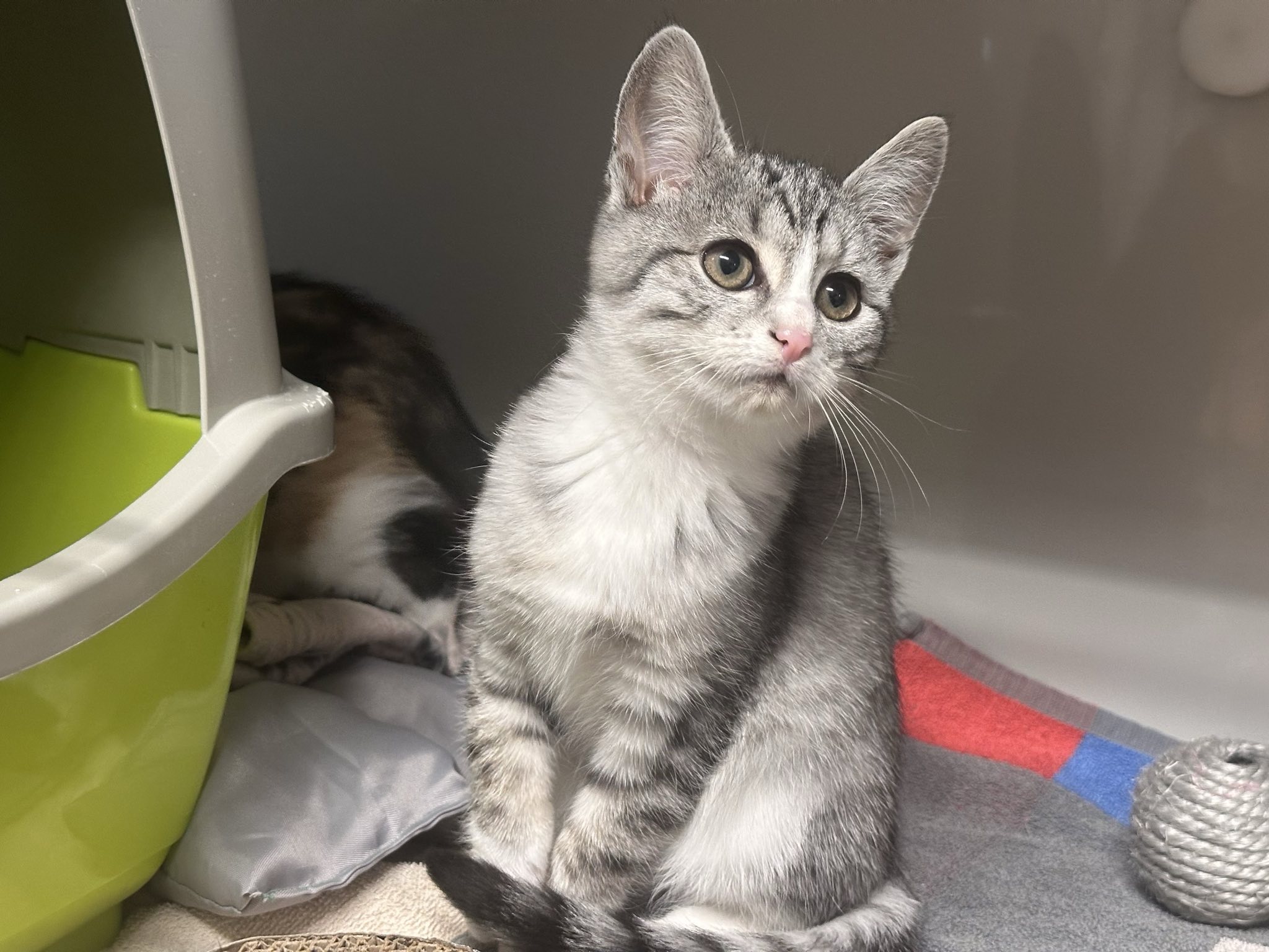 Jolien_signal-2025-10-27-12-31-25-503.jpg Jolien_signal-2025-10-27-12-31-25-503.jpg