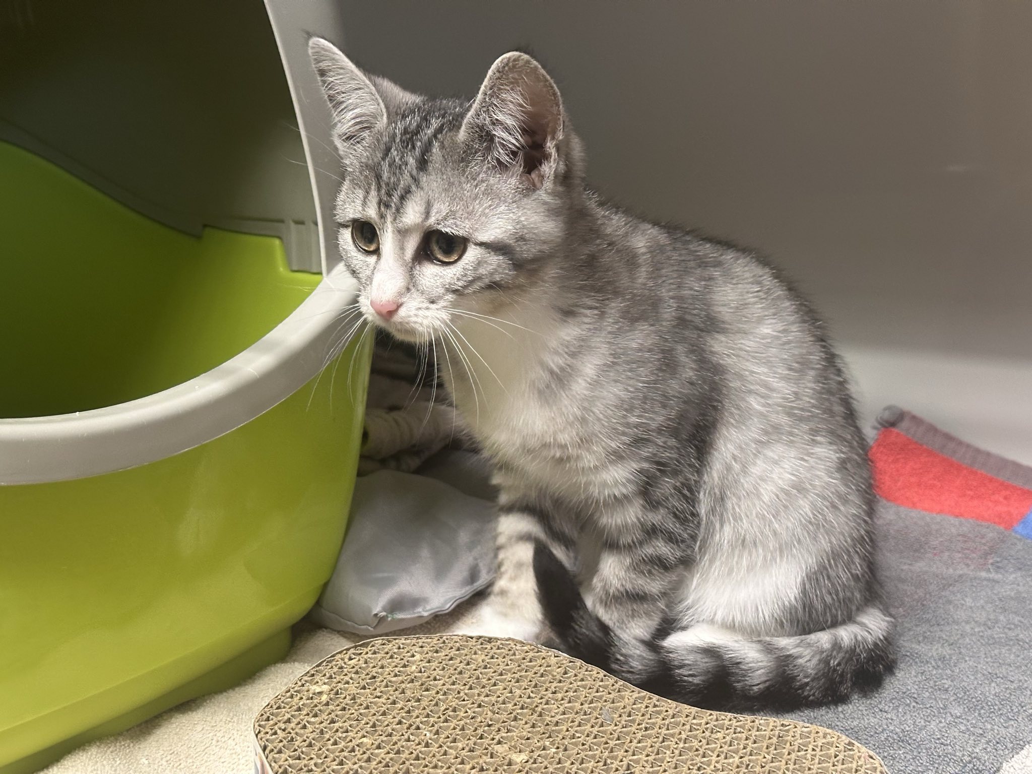 Julien_signal-2025-10-27-12-31-25-503-1.jpg Julien_signal-2025-10-27-12-31-25-503-1.jpg