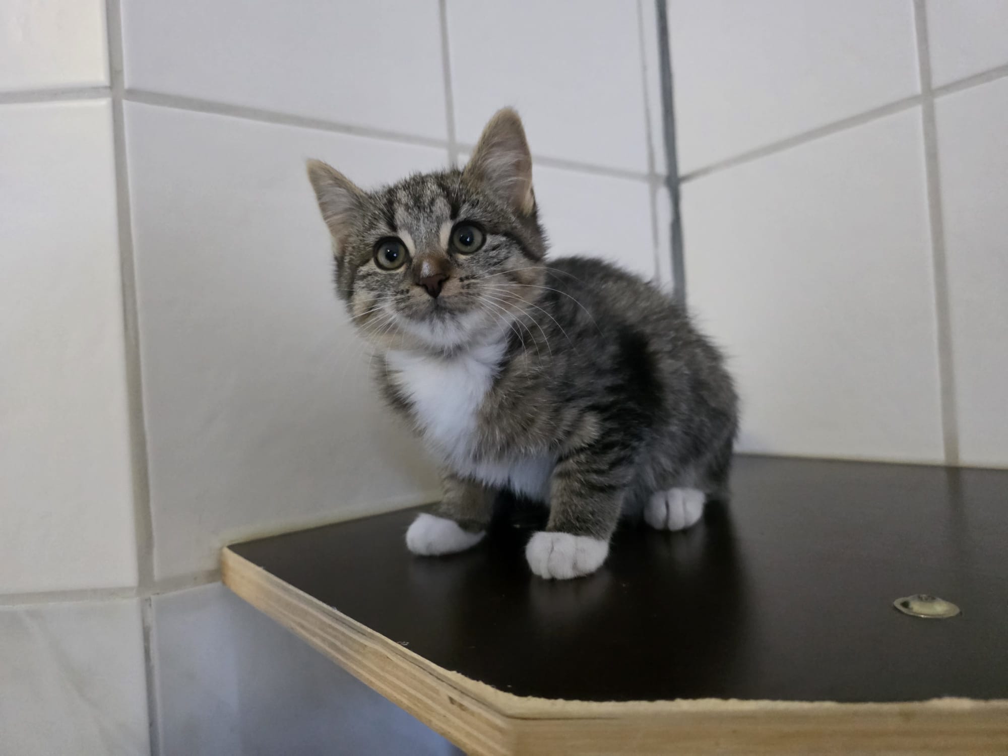 Marie.jpeg Marie.jpeg