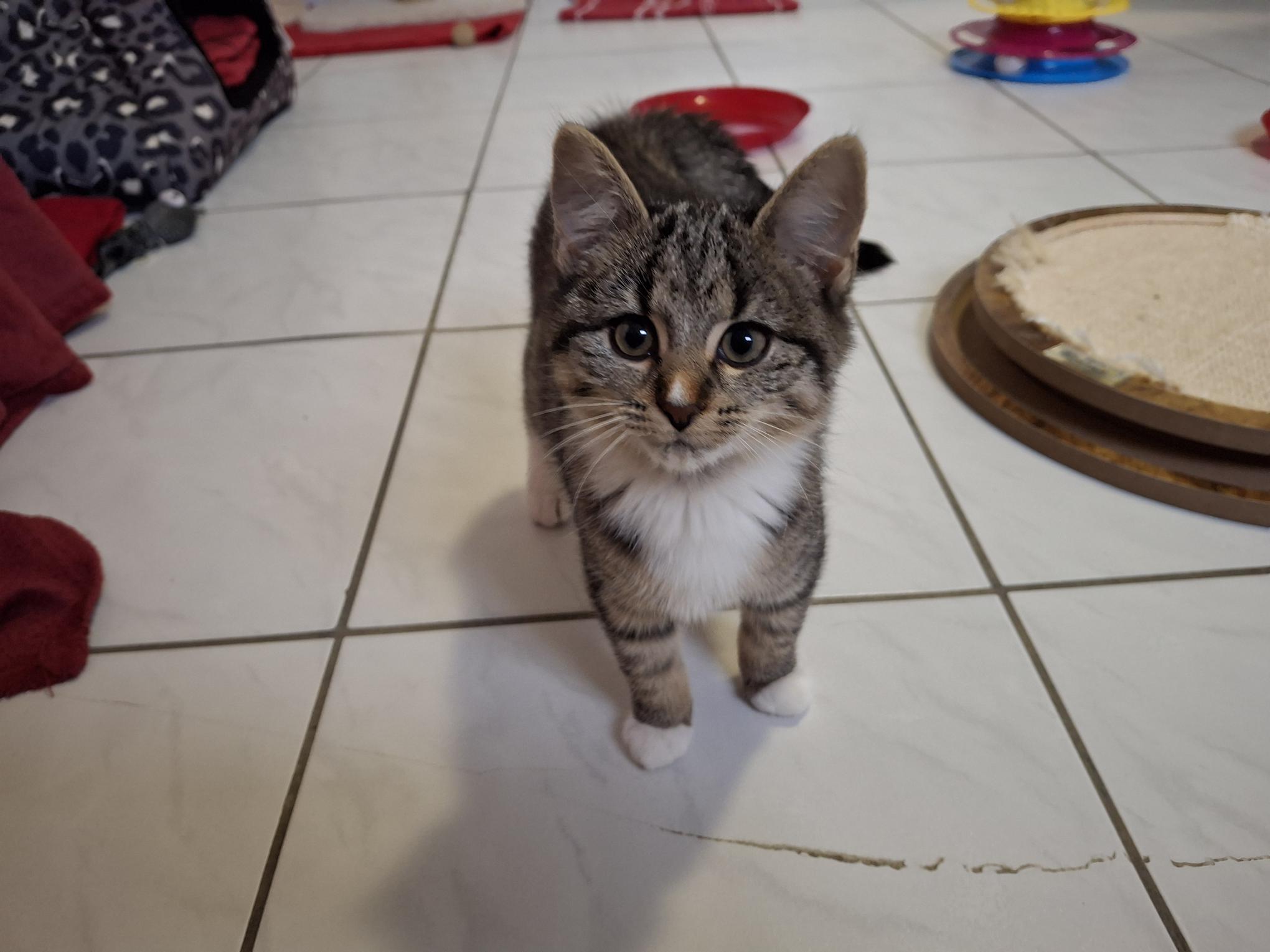 Marie_20251026_134900.jpg Marie_20251026_134900.jpg