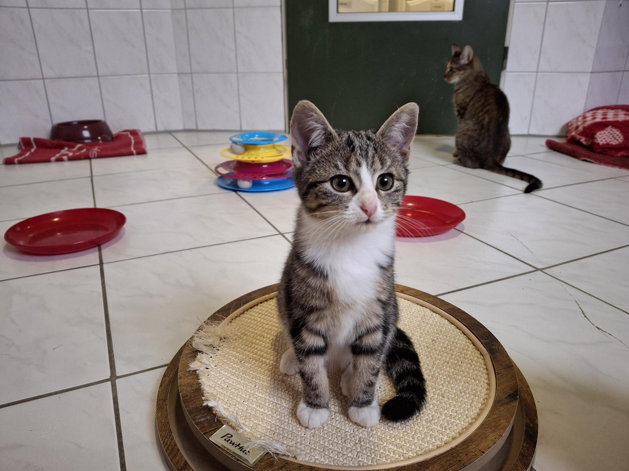 Milli_20251026_134951.jpg Milli_20251026_134951.jpg