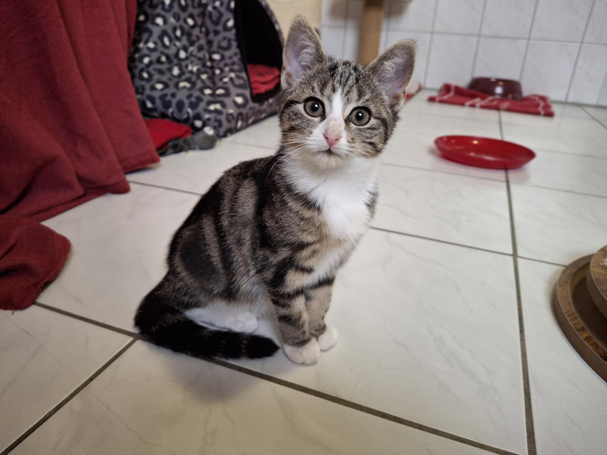 Milli_20251026_135252.jpg Milli_20251026_135252.jpg