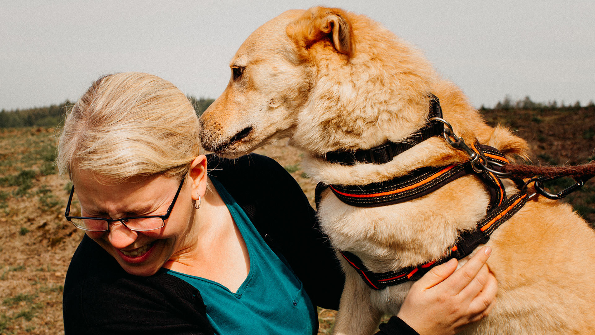 Startseite Tierheim Wipperfürth