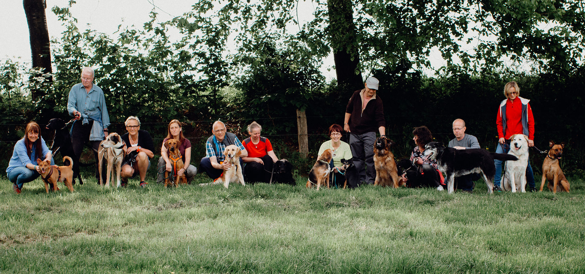 tierheim-wipperfuerth-startseite-stage-team-auf-der-wiese.jpg