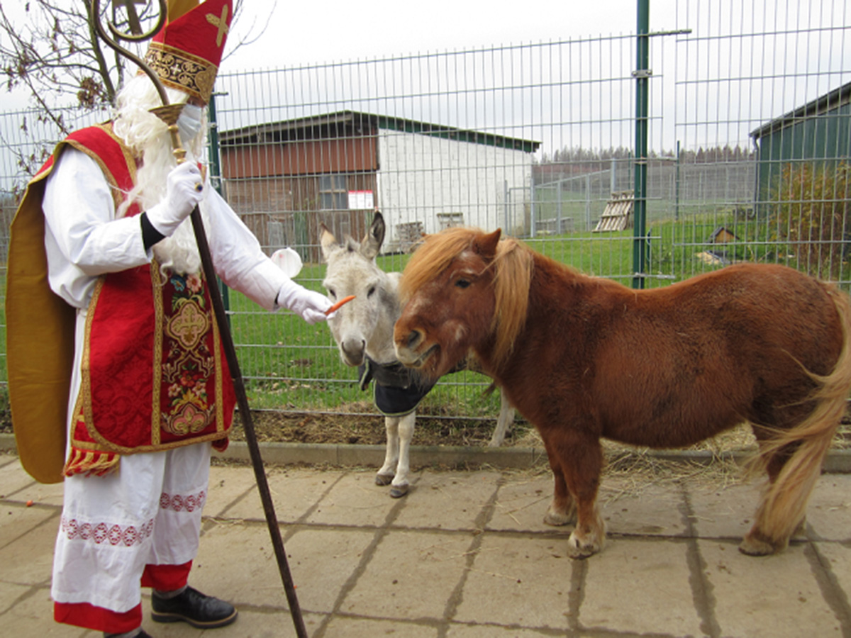 tierheim-wipperfuerth-dankeschoen-spende-nikolaus.jpg