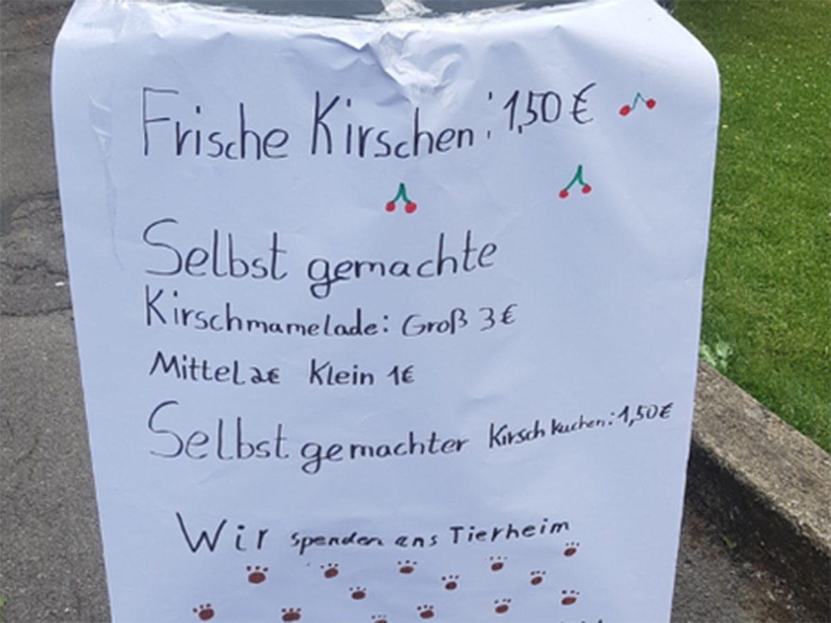 tierheim-wipperfuerth-dankeschoen-wir-sagen-vielen-dank-2.jpg