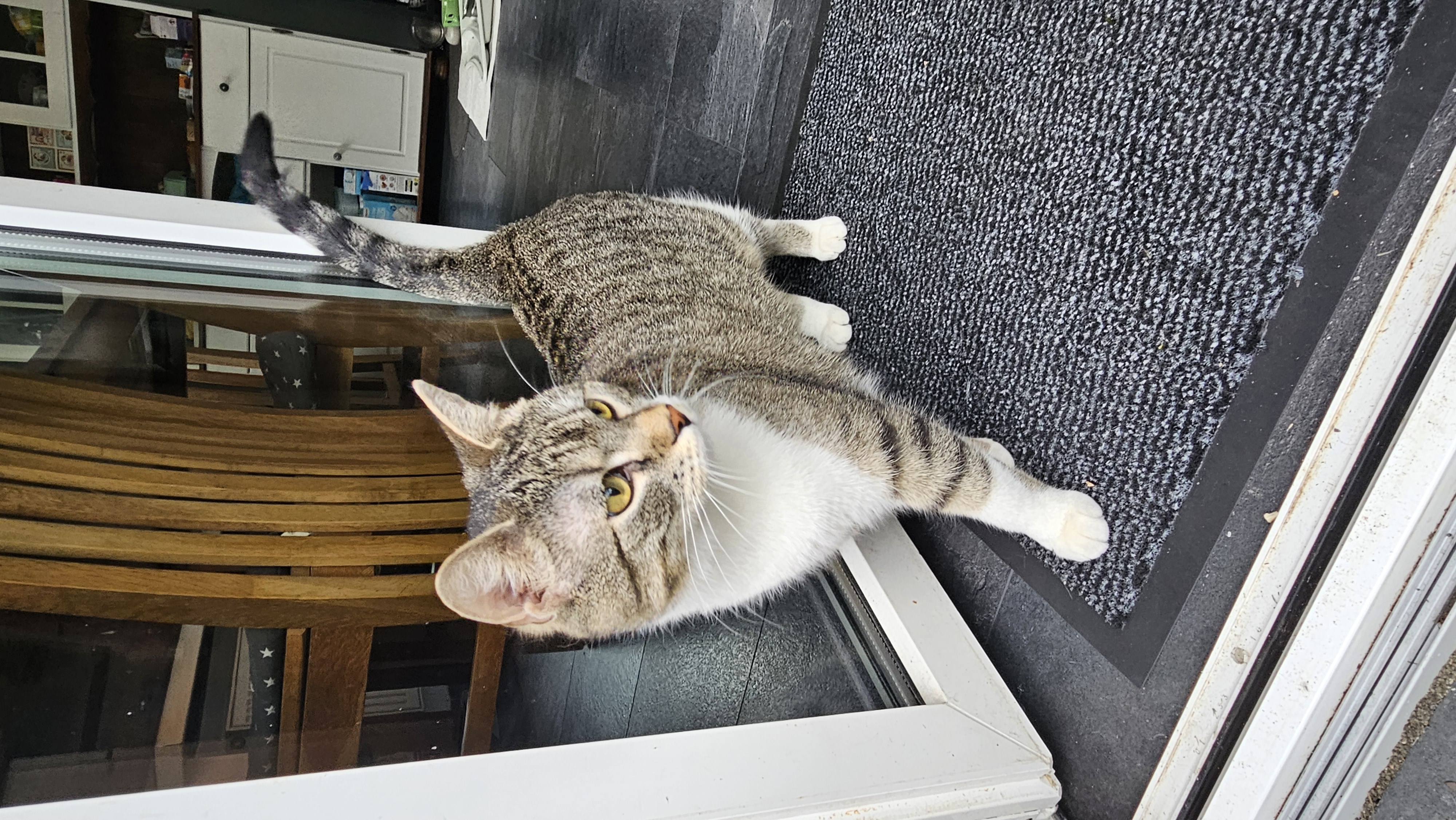 Stella_1000089266.jpg