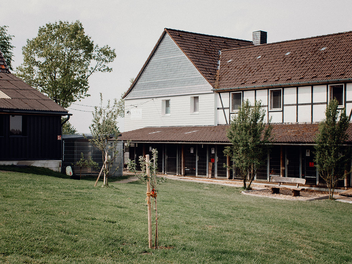 Unser Tierheim. Tierheim Wipperfürth