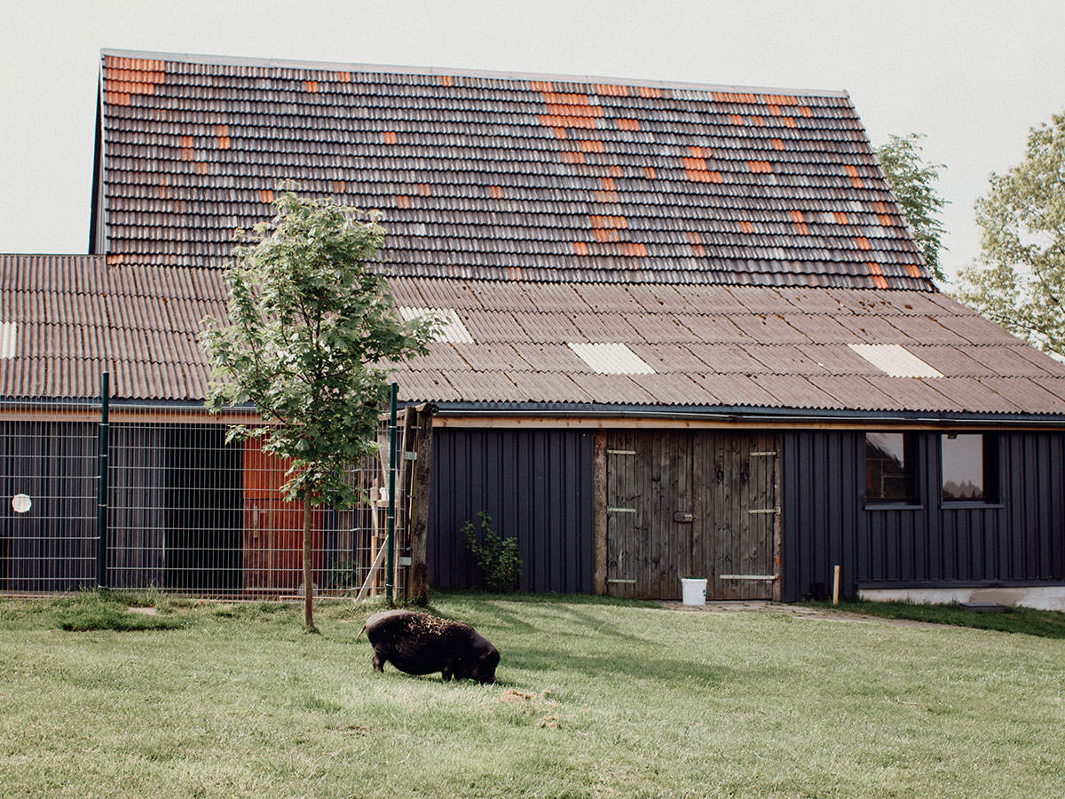 Unser Tierheim. Tierheim Wipperfürth