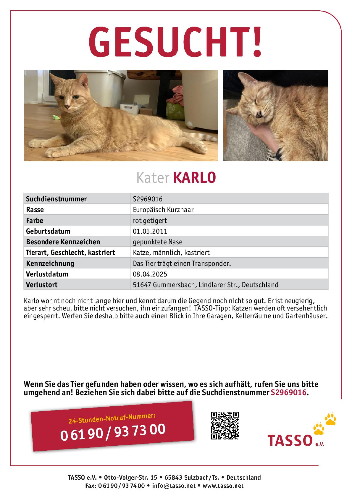 UTF-8TASSO_Suchplakat_S2969016-001.jpg