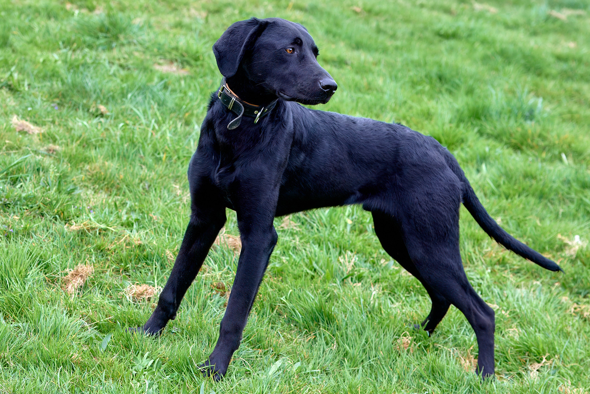 Moritz_5M11368-topaz-rawdenoise-sharpen_Annabelle_Felusch.jpg Moritz_5M11368-topaz-rawdenoise-sharpen_Annabelle_Felusch.jpg