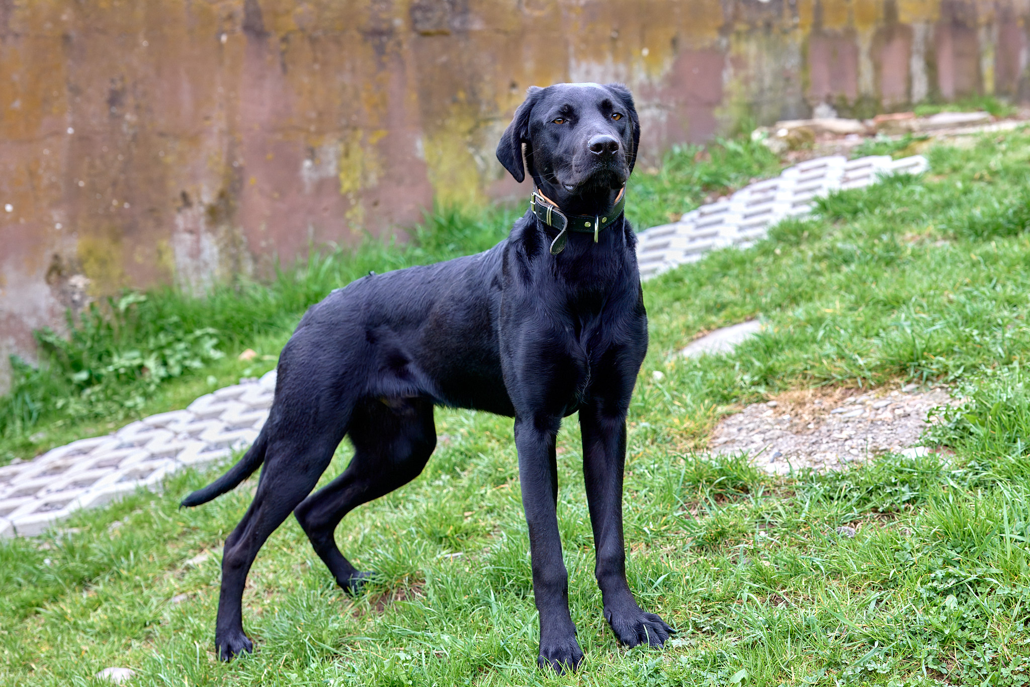Moritz_5M11414-topaz-rawdenoise-sharpen_Annabelle_Felusch.jpg Moritz_5M11414-topaz-rawdenoise-sharpen_Annabelle_Felusch.jpg