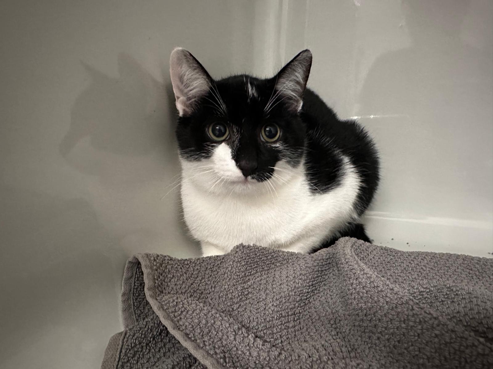 Luka_IMG-20250925-WA0025.jpg Luka_IMG-20250925-WA0025.jpg