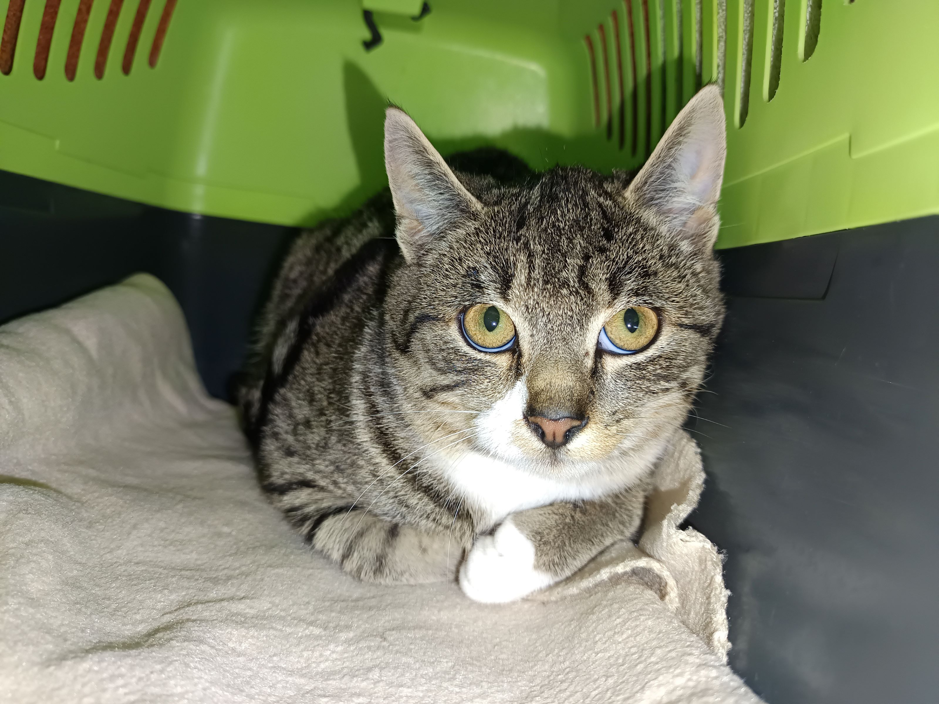 Charlie.jpg Charlie.jpg