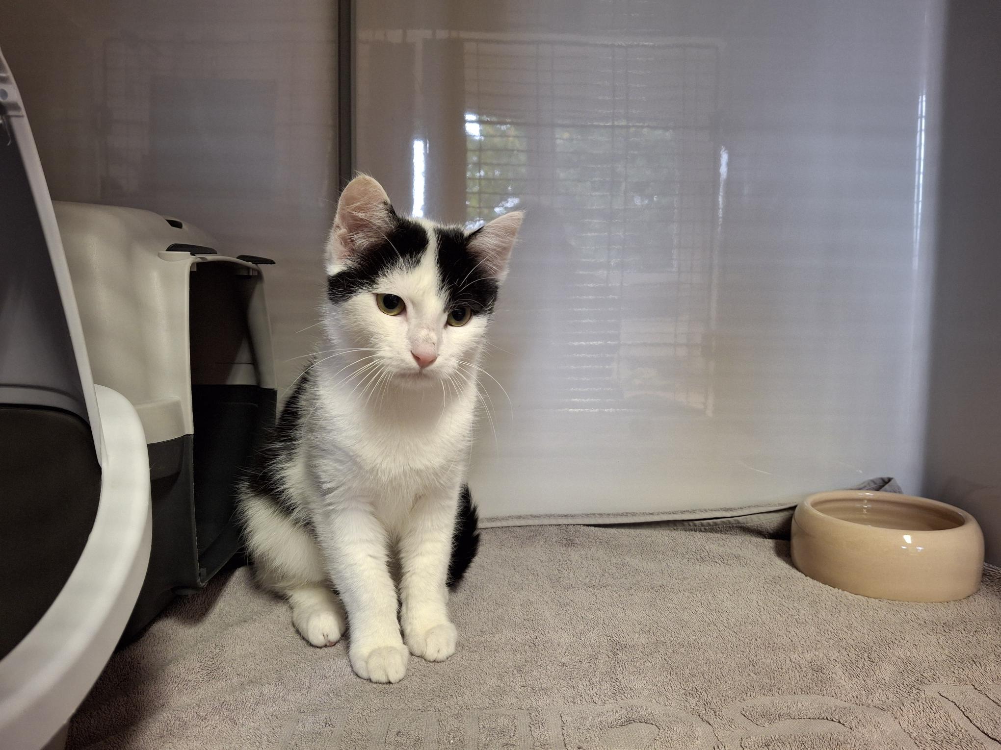 Jack_20251005_133600.jpg Jack_20251005_133600.jpg