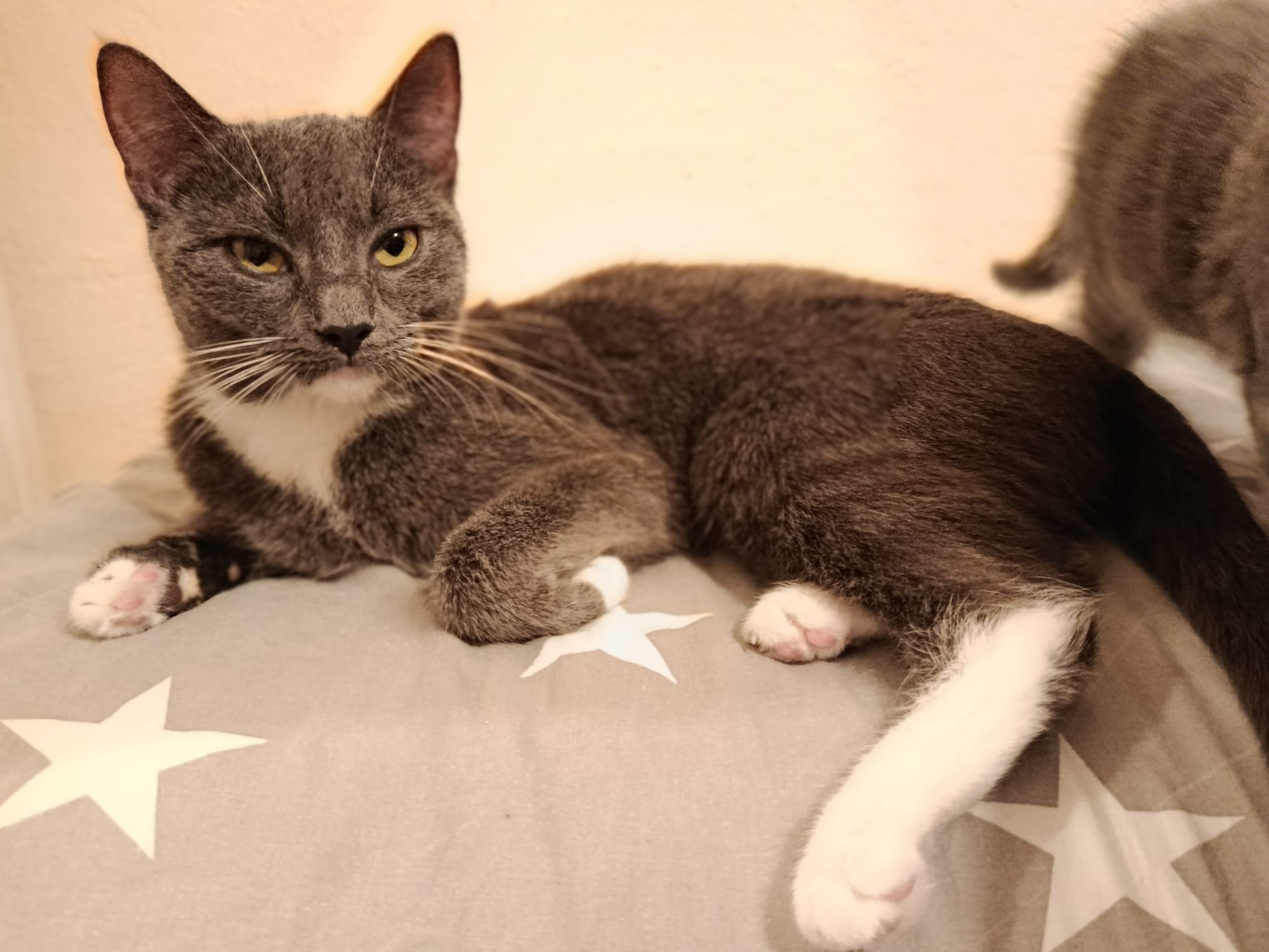 Parla_IMG-20251012-WA0021.jpg Parla_IMG-20251012-WA0021.jpg