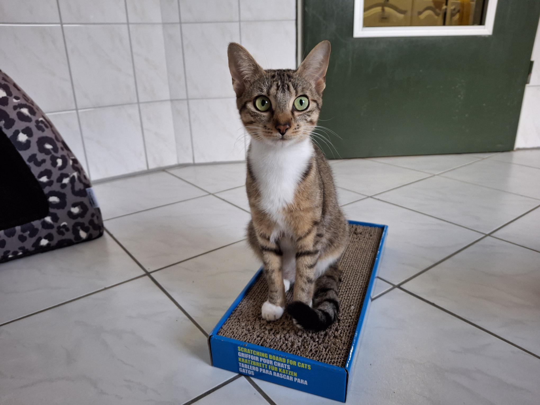 Riri_20250817_110449.jpg Riri_20250817_110449.jpg